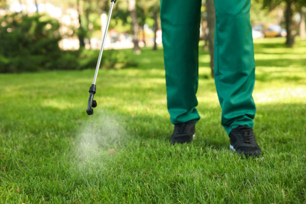 Best Pest Control Cost  in South Hill, WA