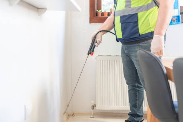 Best Local Pest Control Services  in South Hill, WA