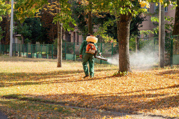 Best Best Pest Control Companies  in South Hill, WA