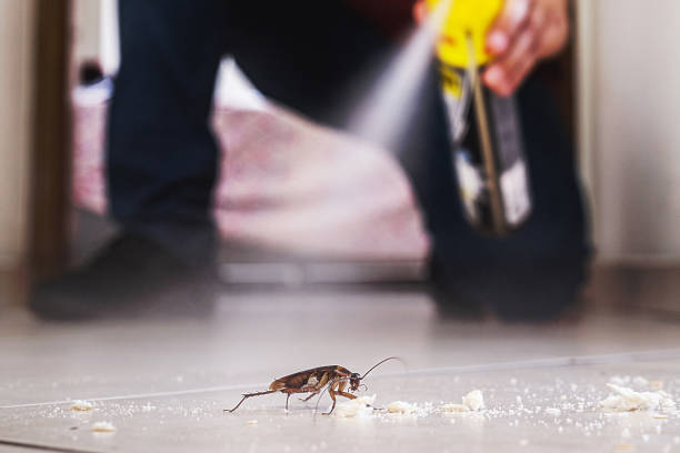 Best Exterminator Services  in South Hill, WA