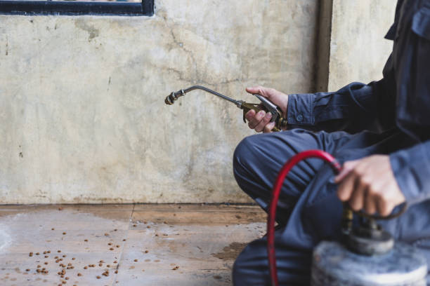 Best Best Pest Control Companies  in South Hill, WA