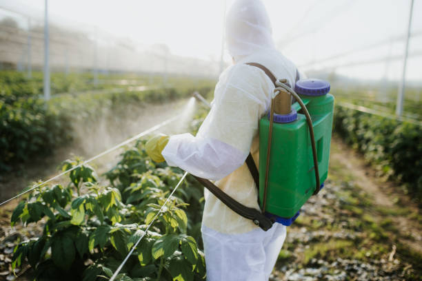 Best Rat Extermination Near Me  in South Hill, WA